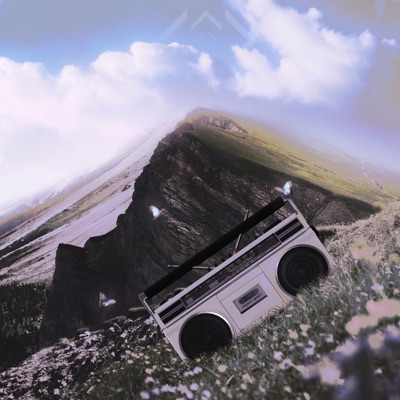 Point Grey (feat. get2gether) - Single