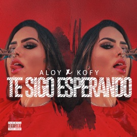 Te Sigo Esperando Aloy & Kofy Music