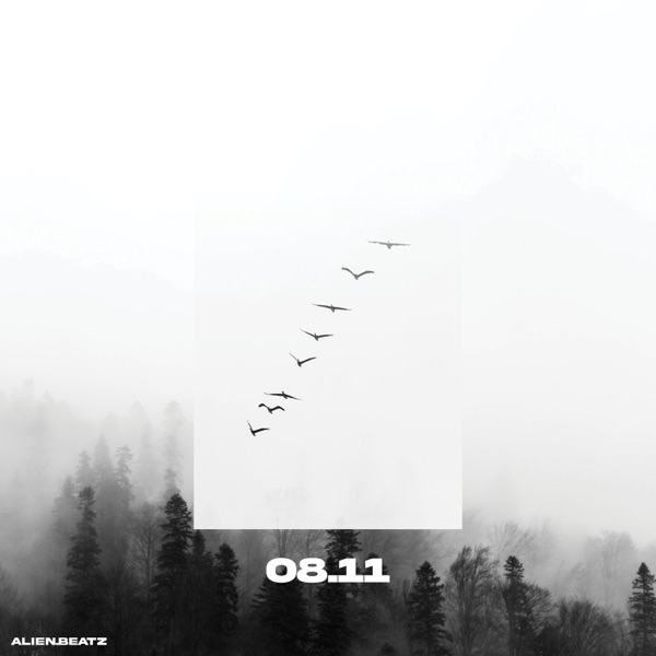 08.11