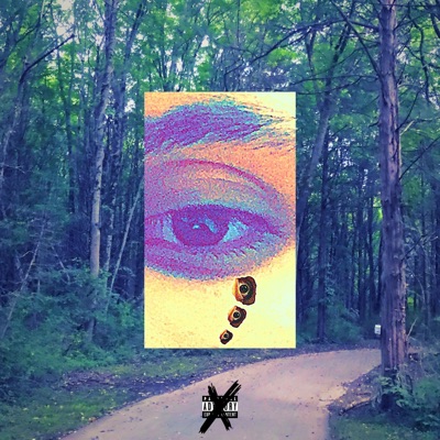 Where's Been Removed - Single