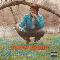 Grow Sumn - Single - Heavy Crownz