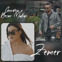 Zemer - Single - gerona & Besar Maliqi