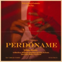 Perdóname - Single - Trikka Masala