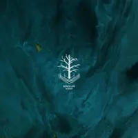 Alright — Nexus Live