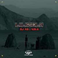 Lilizela (feat. Xolie) - Single - Dj AB