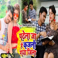 Padhela Ja Hai Kajali Gaya Jila - Single - Vikash Bawal Yadav