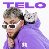 TELO artwork