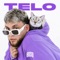 TELO artwork