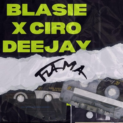 Flama (feat. ciro deejay) - Single