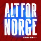 Alt For Norge artwork