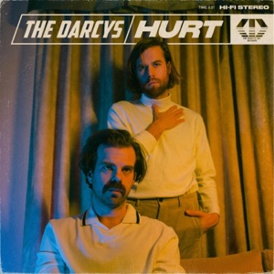 Hurt - Single