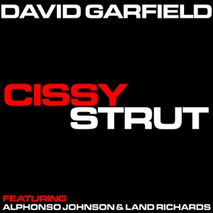 Cissy Strut (feat. Alphonso Johnson & Land Richards)
