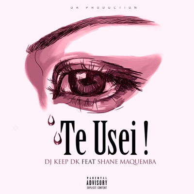 Te Usei !? (feat. Shane Maquemba) [Dk Prod - Special Version] - Single
