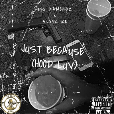 Just Because (Hood Luv) (feat. Black Ice) - Single