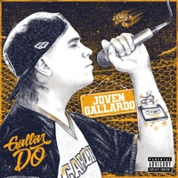 Joven Gallardo - Gallar DO