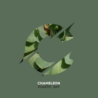 Plastic Sky - Single - Chameleon