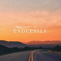 Endlessly - Single - Lonely Night, Ari & Ellou