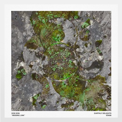 Missing Link - Single