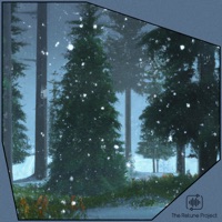 Snowflakes - Single - anatolian lover & The Retune Project