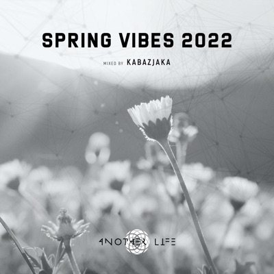 Spring Vibes 2022 (DJ Mix)