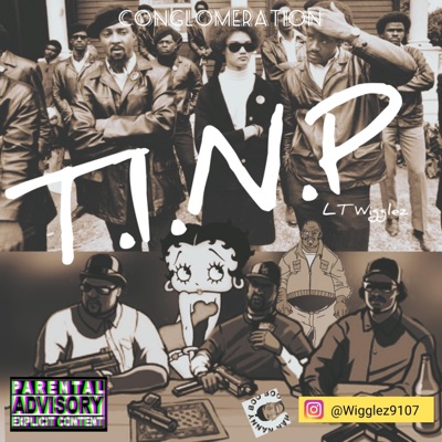 The Ignorant Niggas Party (TINP)