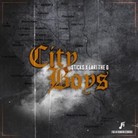 CITY BOYS (feat. STICKS & Lari the G) - Single - Fula Funk