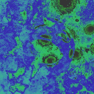 CHOCO Y FLORES - Single