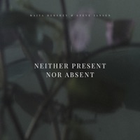 Neither Present Nor Absent - Single - Steve Jansen & Maiya Hershey