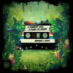 Junglist Soul / Kung-Fu Killer - Single