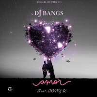 AMOR (feat. TONY Z) - Single - DJ BANGS