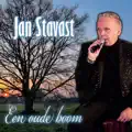 Een oude boom