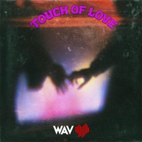 Touch of Love (feat. Big Hack, FrankDawg & Bishop Jones) - Single - Wav Heart