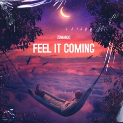 Feel It Coming