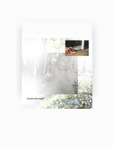 XI: песни, клипы, биография, даты выступлений и многое другое.