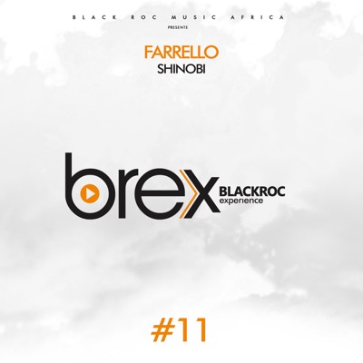 Shinobi (Black Roc Expérience Brex #11) - Single