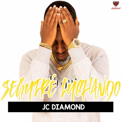 Seguiré Luchando - Single