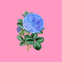 RoSa - Single - JAVISH BEATS