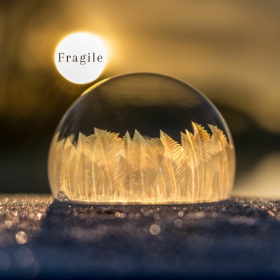 Fragile - Single