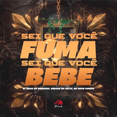 Sei Que Você Fuma, Sei Que Você Bebe (feat. Bregão du Valle & MC NEGO PUMMA) - Single
