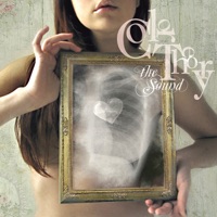 The Sound - Color Theory