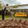Siltumnīcā