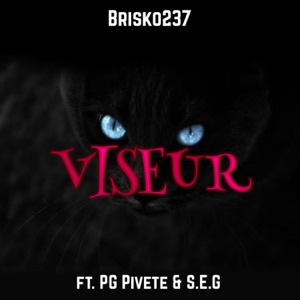 Viseur (feat. PG Pivete & S.E.G)