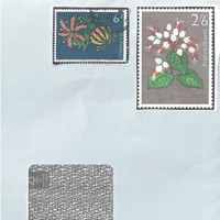 2Night - Single - Jaywakeup & Hitsound