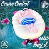 Cruise Control - Single