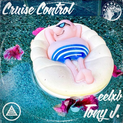 Cruise Control - Single