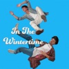 In The Wintertime - Single