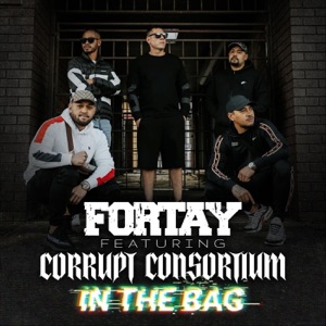 In the Bag (feat. Corrupt Consortium) - Single