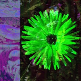 Sunny Side Up Jay Phatty