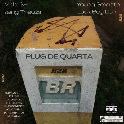 Plug de Quarta - Single