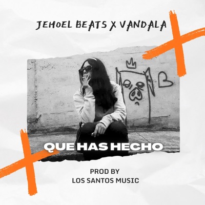 Que has hecho (feat. Vandala) - Single